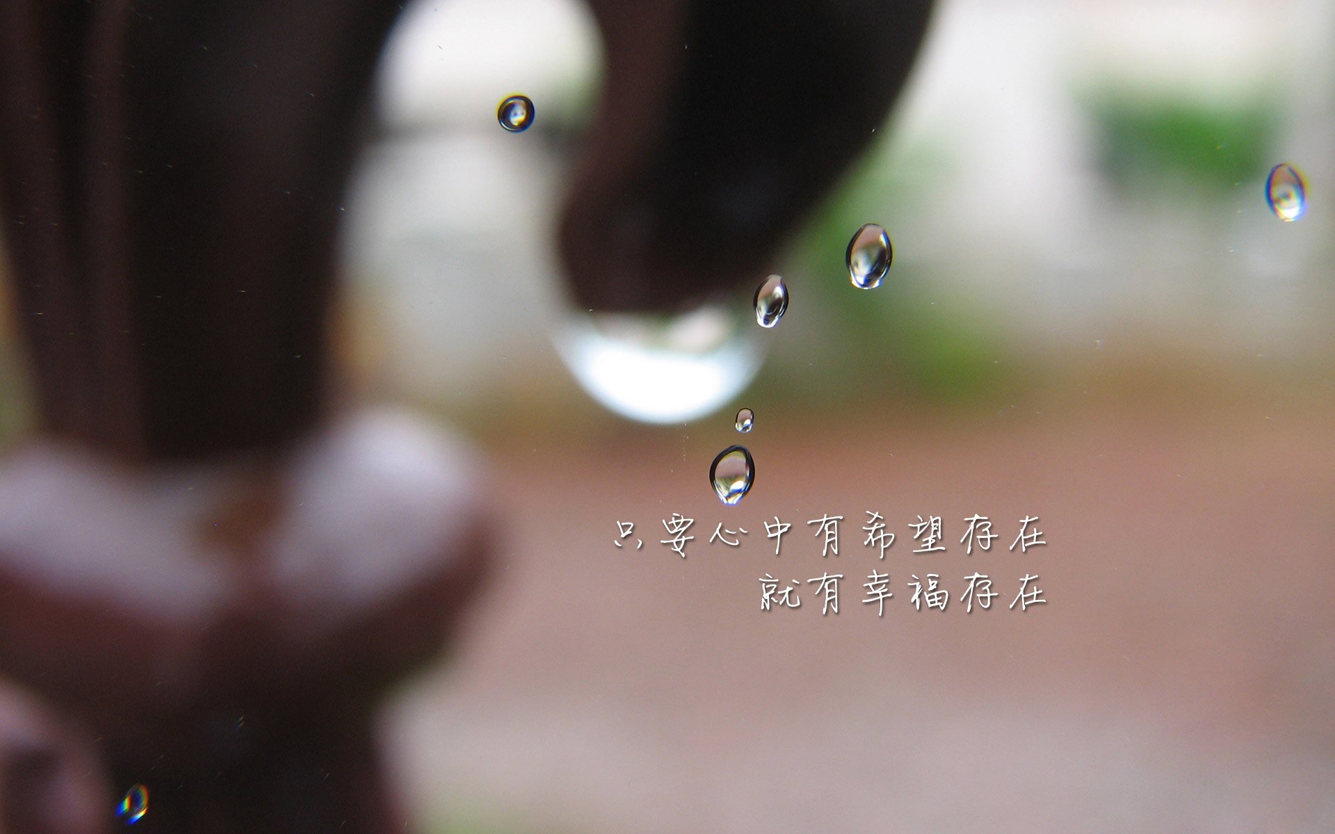 kaiyun官方网站-令人惊叹的“空中霸主”——头球王的巅峰表现，头球之王