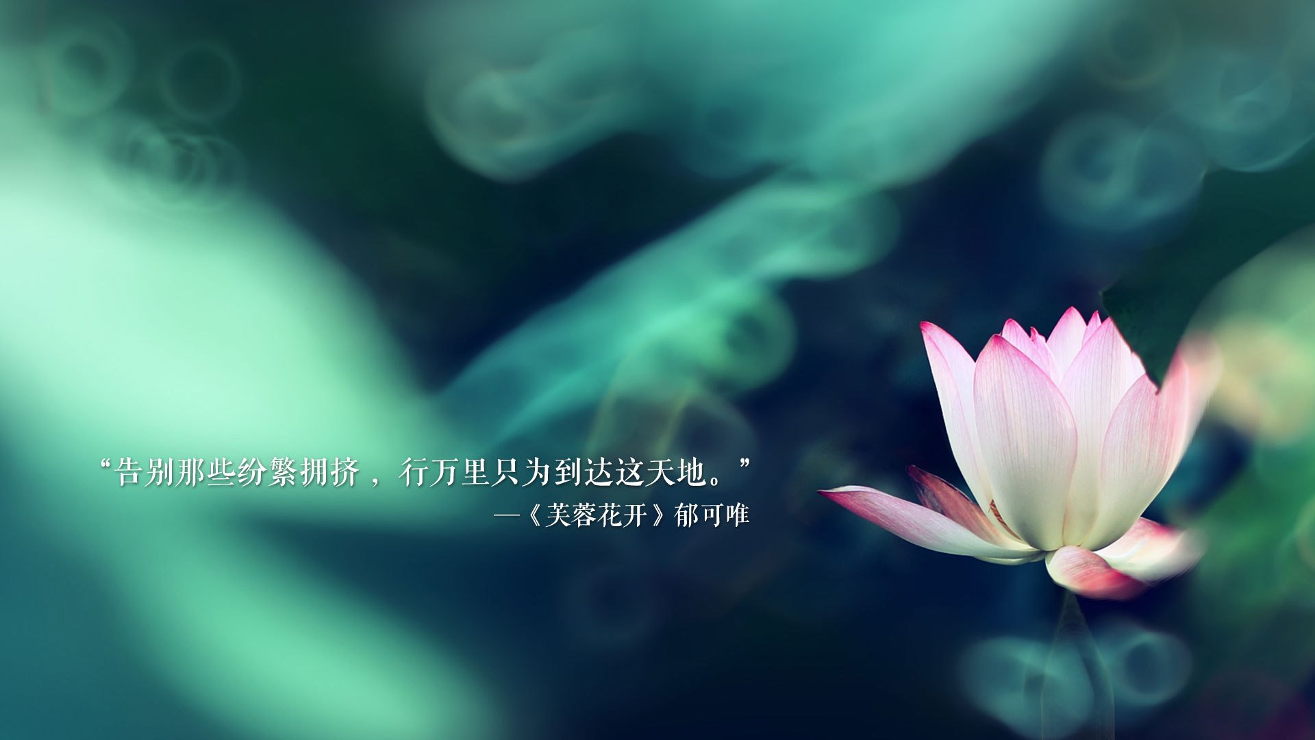 kaiyun网站-体育新闻中心完成多终端体育直播技术测试，体育新闻现场直播