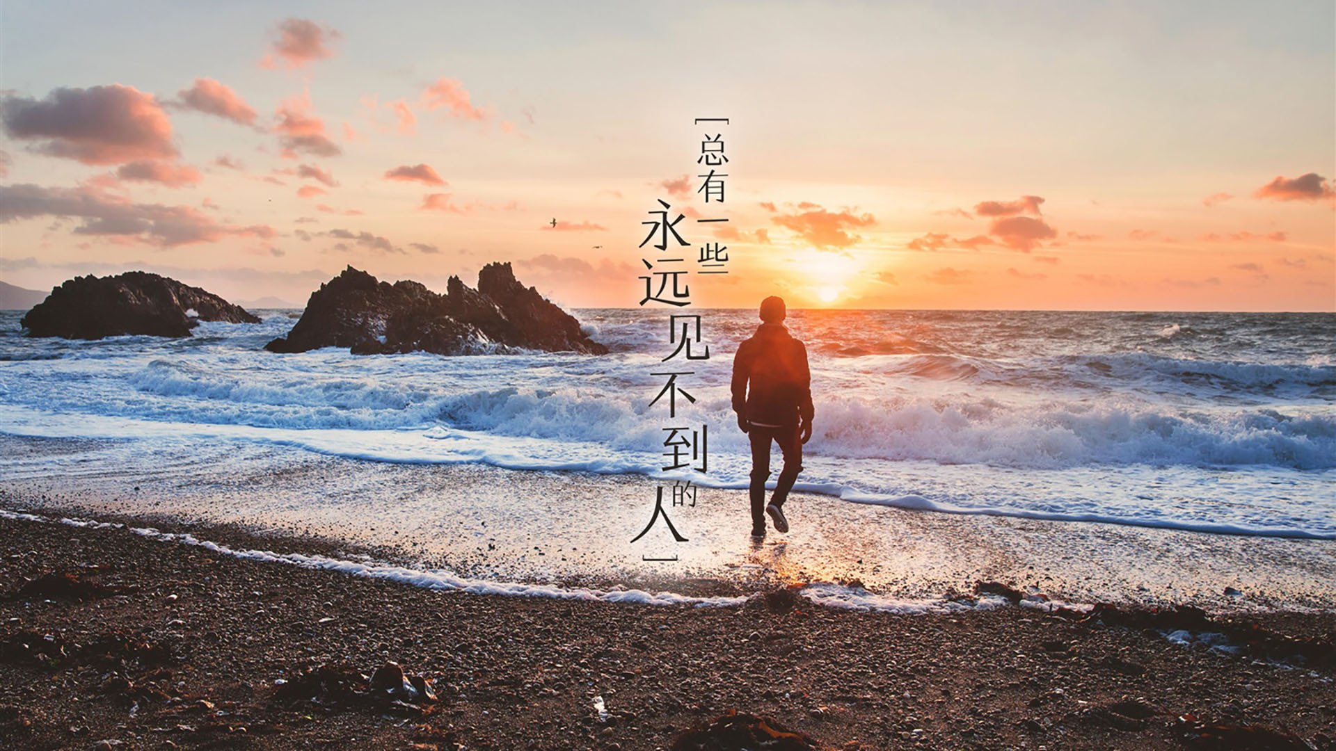 辽宁飞豹持续提升转移球速度打乱对手阵型,辽宁飞豹队员名单