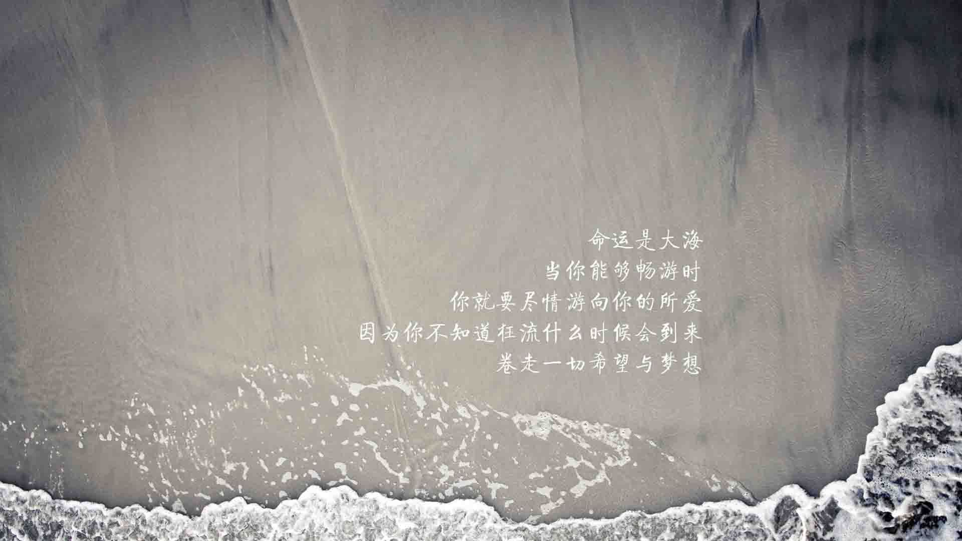 “亚戈·卡尔曼的技术提升与领导魅力,让阿根廷美洲狮队再创辉煌”