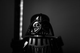 开云·体育官网APP下载-“南非羚羊队的秘密武器：萨尔·巴赫的崛起”