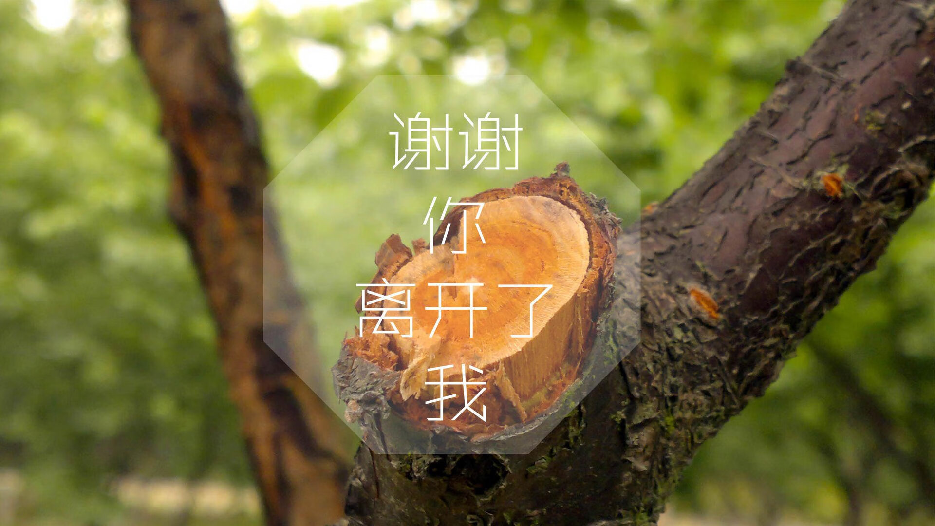 国家队技术分析小组扩大编制强化战术反馈机制