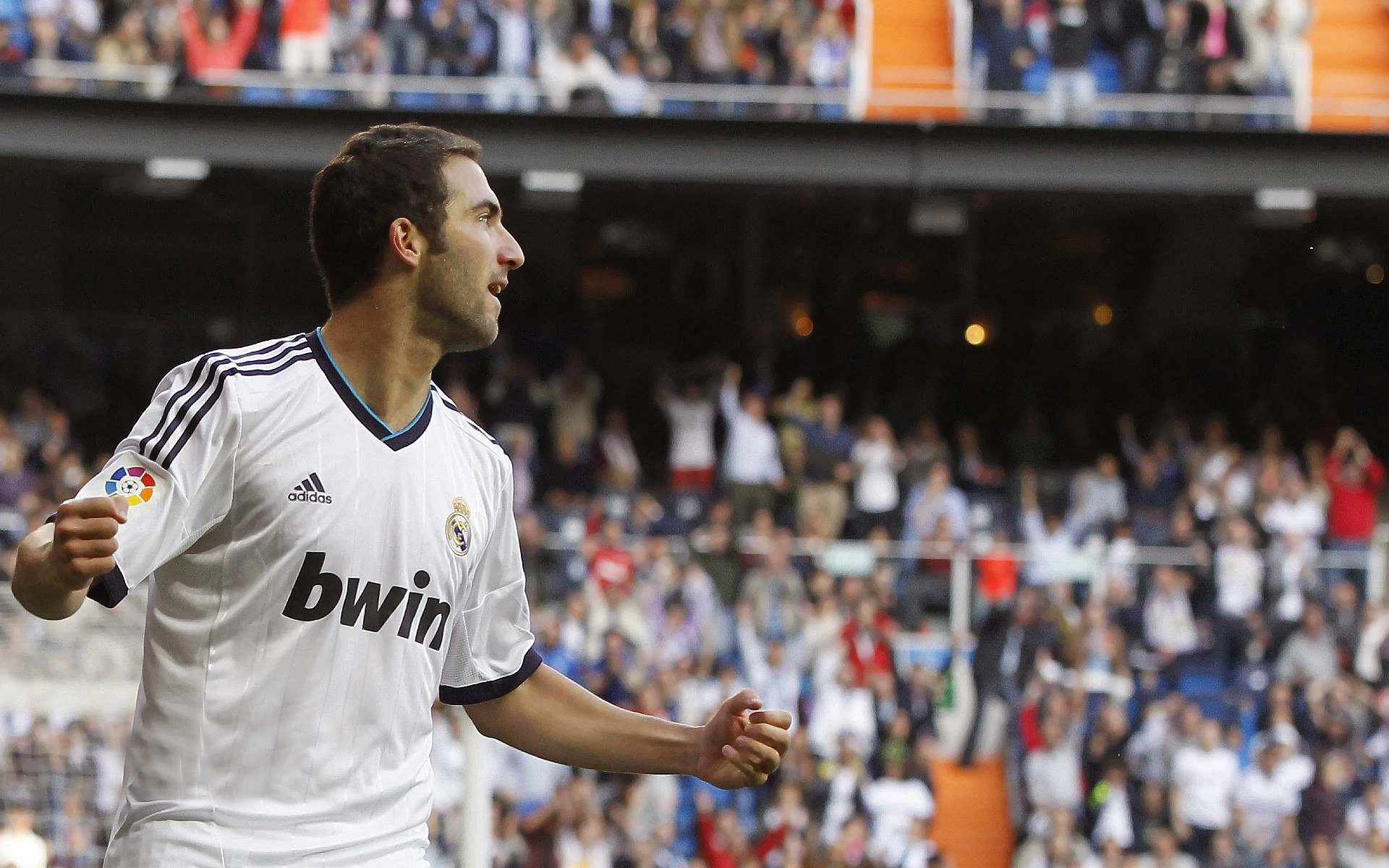 _场外精彩：明星访谈、公益活动多姿多彩_，明星访谈节目